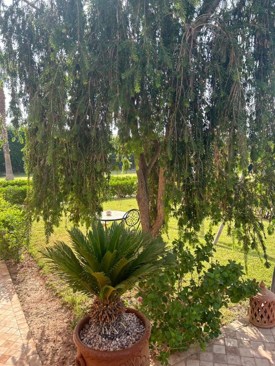 Villa Diaf Johanne Ait Ourir Bagian luar foto